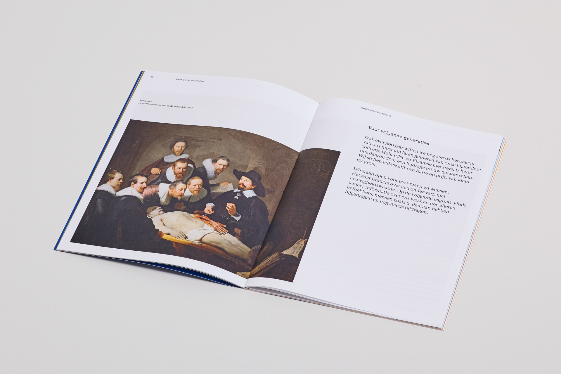 Daan Rietbergen - Mauritshuis brochure